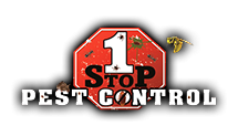 1 Stop Pest Control | Extreminators Ants Rodents, Wasps, Bees, Yellow Jackets Bed Bugs Mice Albany Capital Region